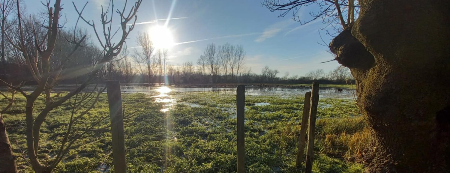 LE LANGON